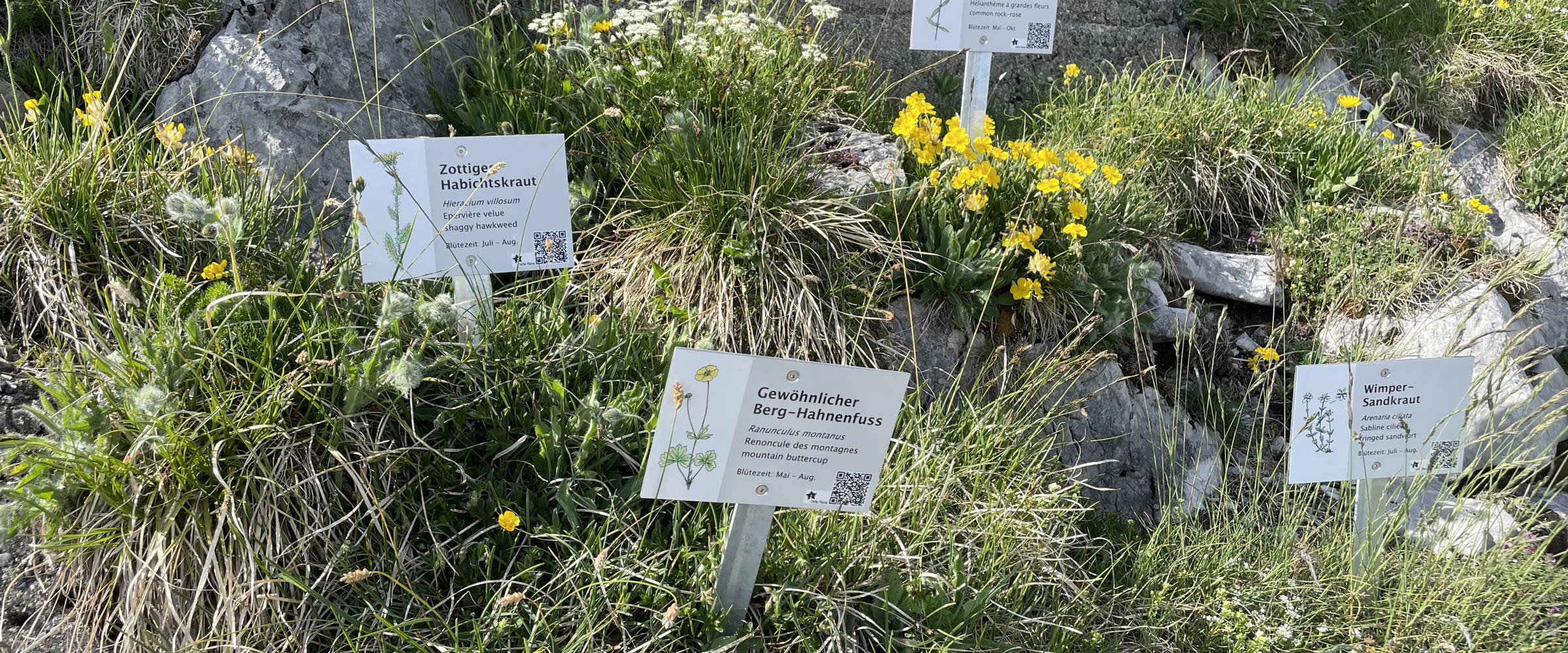 Neue Beschilderung